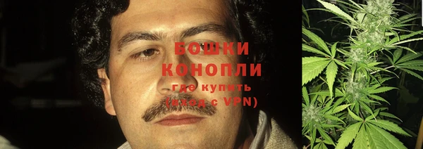 дурь Козловка