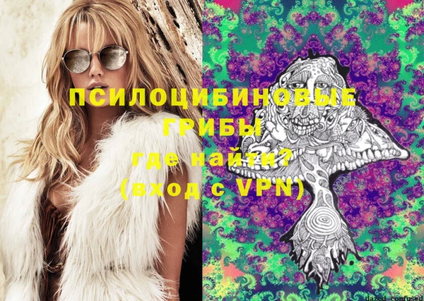 дурь Козловка