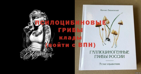 метамфетамин Козельск
