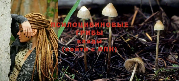 наркотики Кодинск