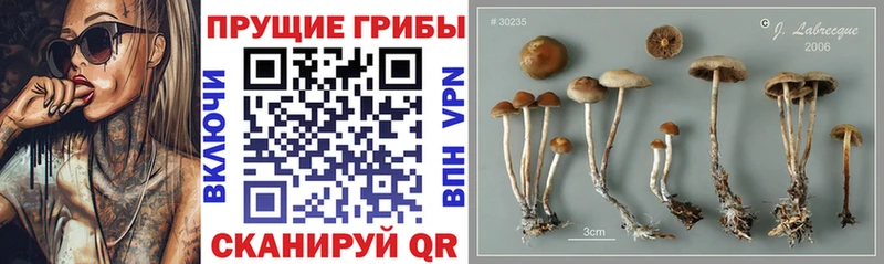 Галлюциногенные грибы мухоморы  как найти закладки  OMG ССЫЛКА  Урай 