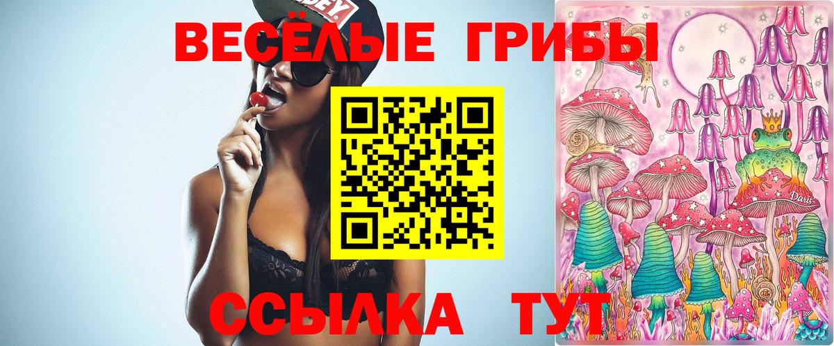 Галлюциногенные грибы MAGIC MUSHROOMS  Псилоцибиновые грибы GOLDEN TEACHER  Урай  Вход с VPN 