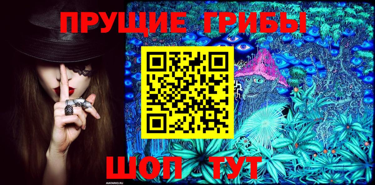 Псилоцибиновые грибы Psilocybe  Псилоцибиновые грибы Psilocybe  Урай 